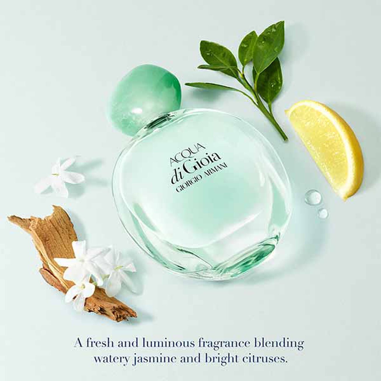 GIORGIO ARMANI Acqua di Gioia EDP Vaporisateur Spray, 3.4 oz-Floral and Fresh Fragrance for Women